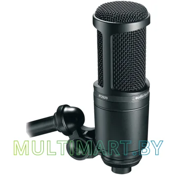 Микрофон Audio-Technica AT2020